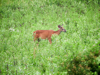 ZachS2022P1425312