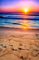 IMG_0573-Edit