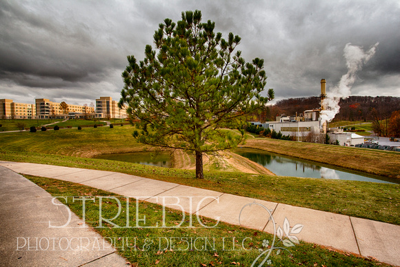Striebig-1022