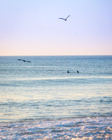 At the beach