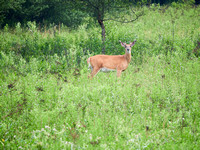 ZachS2022P1425311