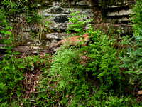 ZachS2022P1425335