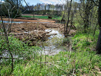 BeaverCreekP1424843